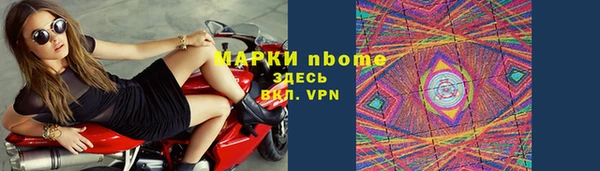 гашик Алексин