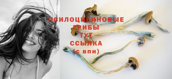 прущий лед Алексеевка