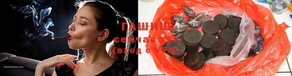 гашик Алексин