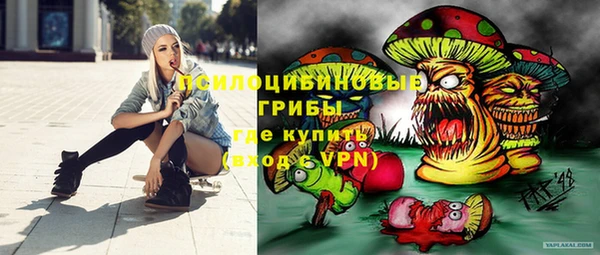 прущий лед Алексеевка