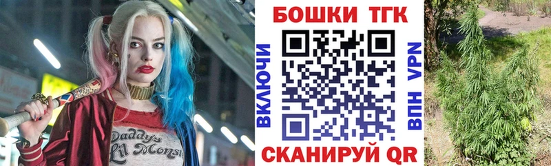 где найти наркотики  Енисейск  Шишки марихуана конопля 